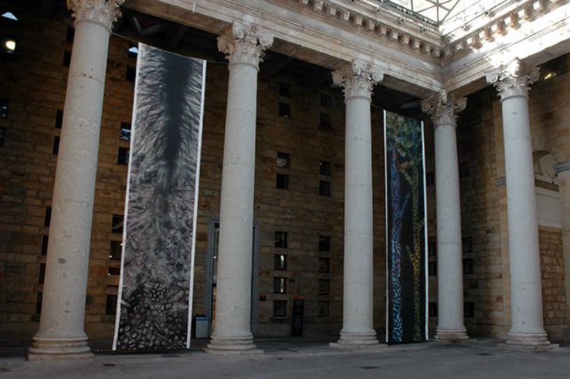 alnorte_albertopena_columna_01