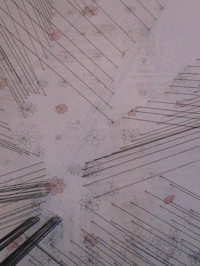 La fragilidad de la medusa 3