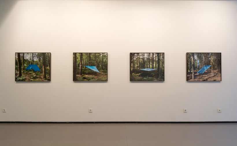 alnorte_carpioycorbato_refugio_11