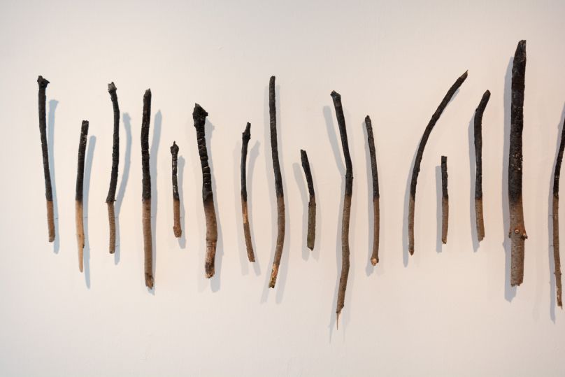 alnorte_carpioycorbato_refugio_13