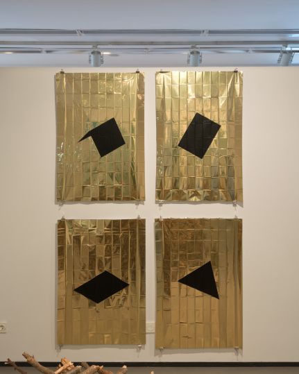 alnorte_carpioycorbato_refugio_14