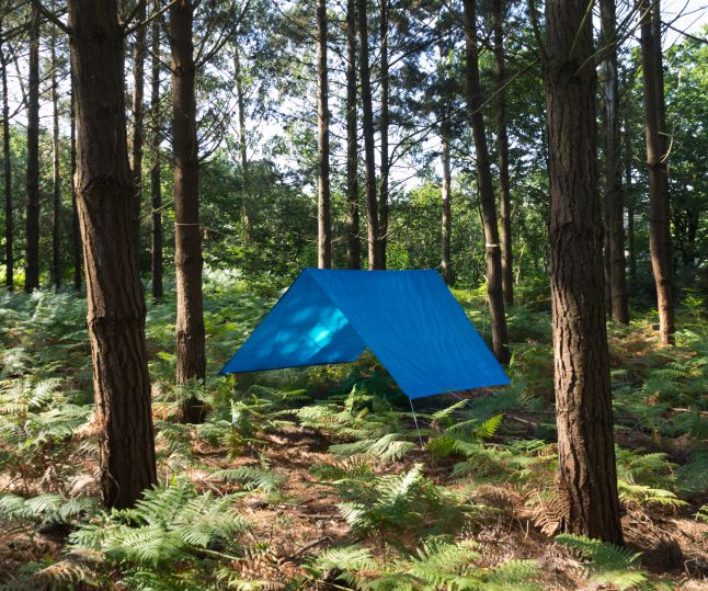 alnorte_carpioycorbato_refugio_19