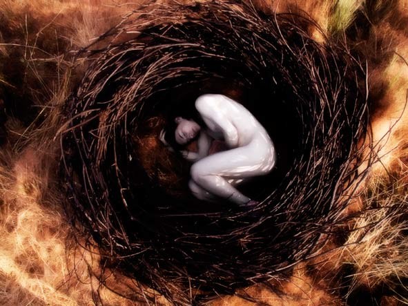 El auto y la consciencia 4