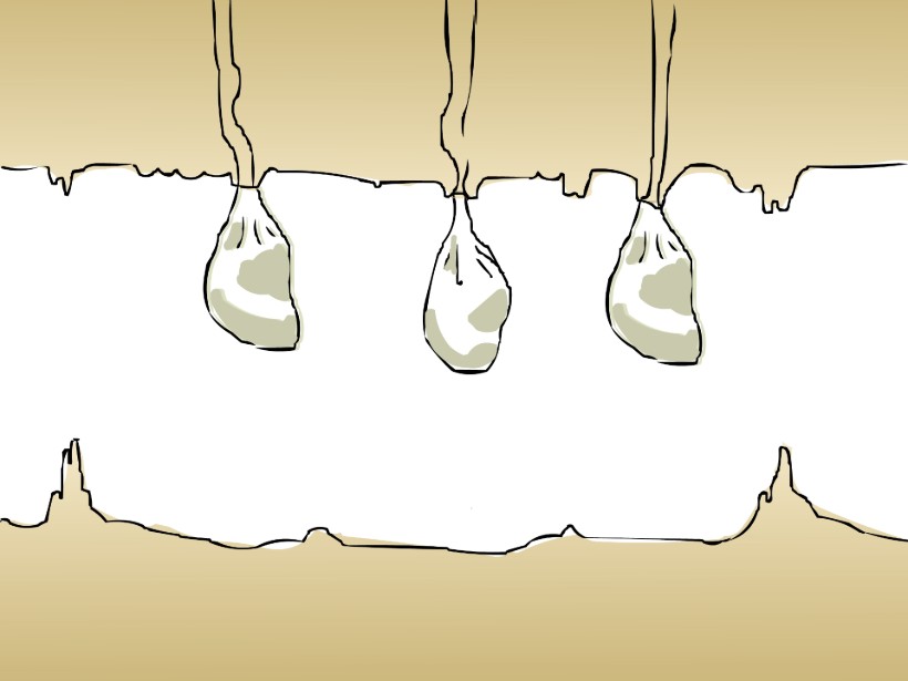 alnorte_laramascoto_bosqueinterior_01 Bosque interior 1