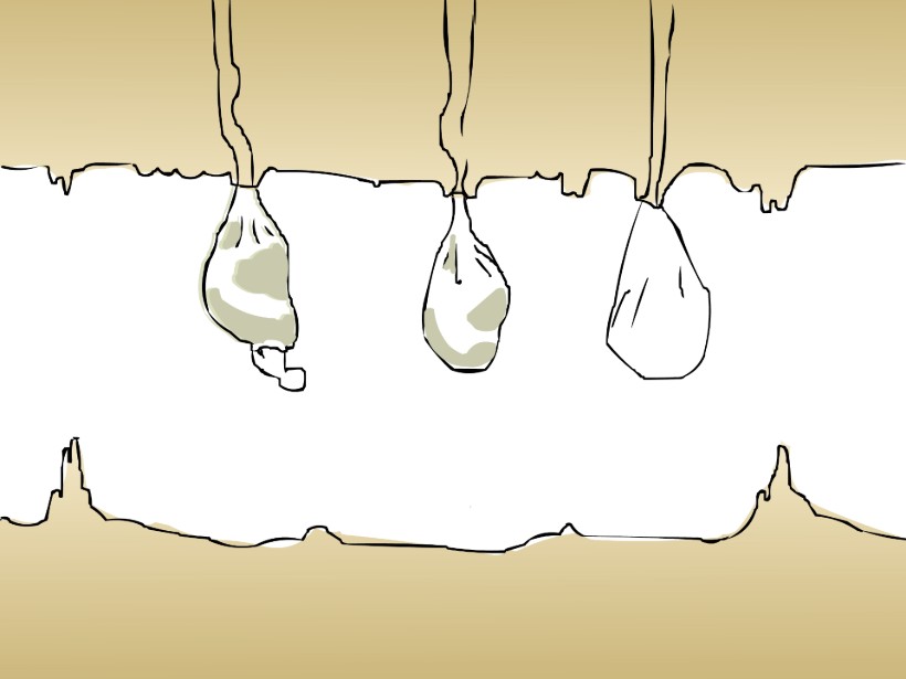 alnorte_laramascoto_bosqueinterior_02 Bosque interior 2