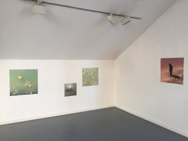 alnorte_mariamoldes_bloop_02