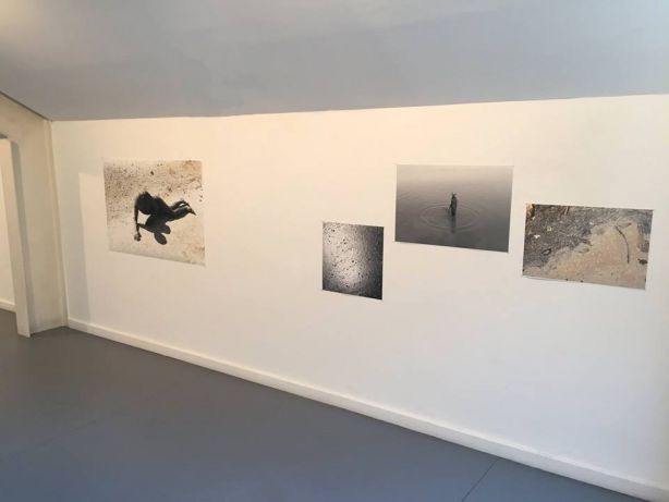 alnorte_mariamoldes_bloop_03