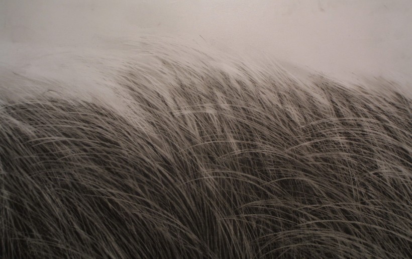 alnorte_paconadie_cuandosopleelviento_01 Cuando sople el viento 1