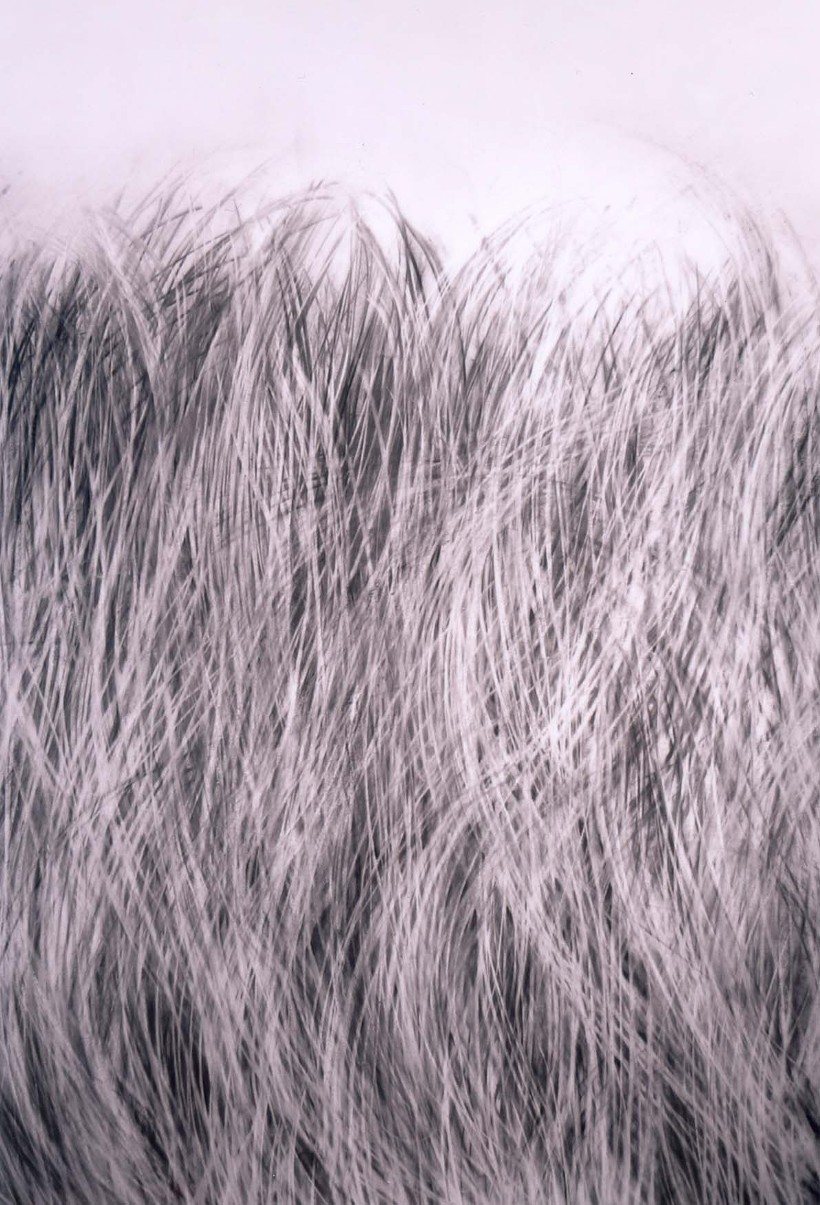 alnorte_paconadie_cuandosopleelviento_03 Cuando sople el viento 3